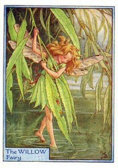 一朵最美的平凡采集到花仙子