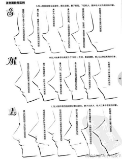 板绘0菜鸡采集到脸部轮廓参考