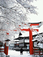 Kyoto  Snow in winter (yuki)