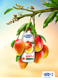 CAPO Fresh Fruit Juice