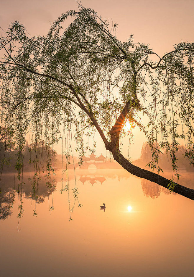 碧水丹山映杖藜，夕阳犹在小桥西。微吟不道...