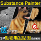 Substance Painter生物毛发视频教程次世代游戏贴图PBR流程SP材质-淘宝网
