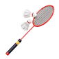 Badminton 3D Illustration