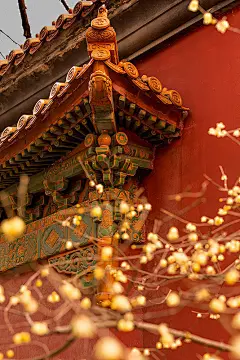 【  立春，大家一起转红运 …  】 ​ ​​​​