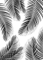 Palms Black White Vibes 2手掌黑色白色共鸣2