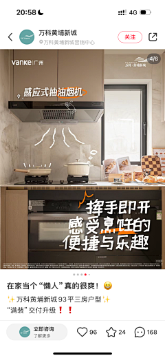 一只安静的猫咪采集到图片版式