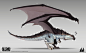 Dragonflight: Legacies - Proto Dragon Aspects