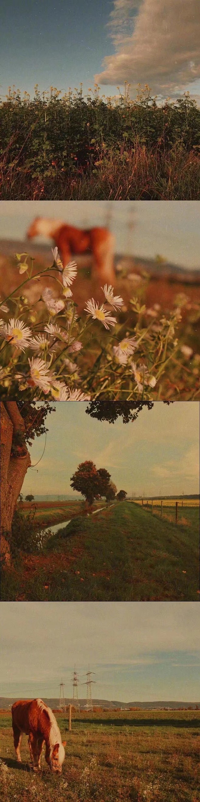 油画滤镜