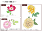 薔薇についての覚書 [1]