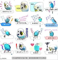 @飞天胖虎 line贴图表情包贴纸[编号1542164]Hi Blue Bird 2 , with a speech bubble  budgerigar photo stickers. He was my lovb