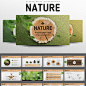 01 Nature国外creativemarket自然绿色木纹环境保护主体PPT模板-淘宝网