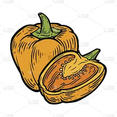 红辣椒黄辣椒辣椒辣椒矢量手绘矢量插图。新鲜的有机蔬菜辣椒雕刻风格。详细的食物吸引。用于标签、海报、印