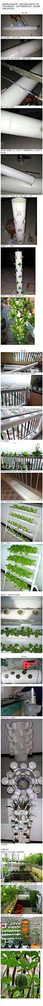 牛人用PVC管在阳台种蔬菜，绿色环保，太有创意了！！