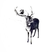 LAU丶