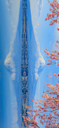755ce8eegy1h0wctskrk2j21fc3347wj.jpg (1848×4000)