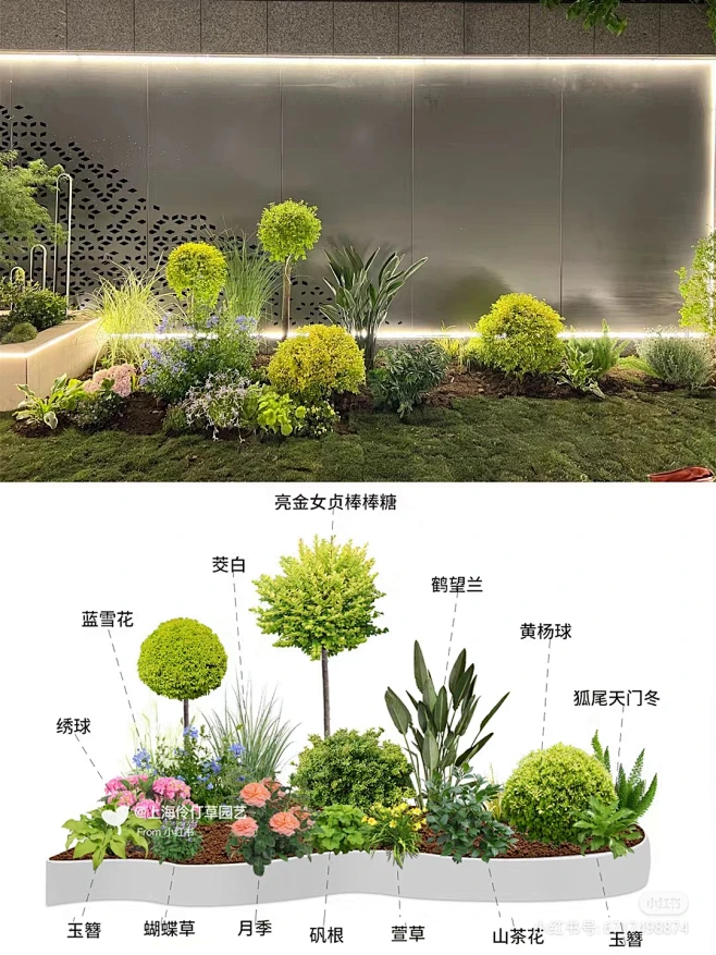 花境搭配-花瓣网