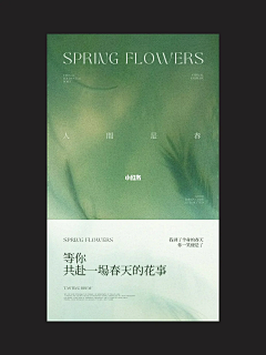 有趣的灵魂太少采集到版式设计