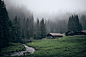 alpine alps fog forest mist mountains trees woodland