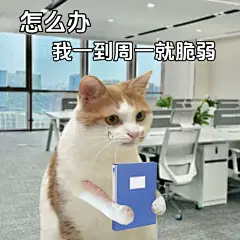 周一了 又来公司当群演了 | 表情包 - 小红书