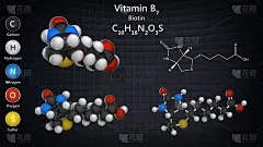 核黄素(生物素)。也称为维生素h 3D插图。化学结构模型:球棍+球+填充空间。