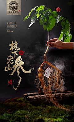 编辑资料*中^采集到人参