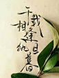 这字体叫菊花体，美哭了！