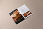 home appliance industrial design  Stand Mixer product design  suosi