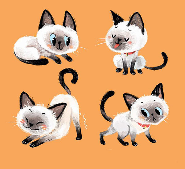Siamese cat : love c...