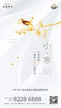 20180104_白金壳子小寒飞机稿-01