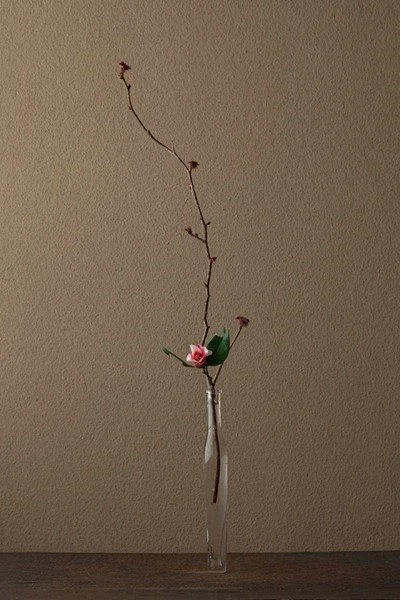池坊花道 川濑敏郎(原图尺寸：400x600px)-花瓣网