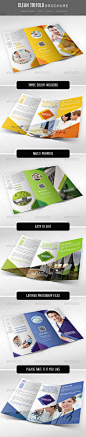 Multi Purpose Tri Fold Brochure - Brochures Print Templates