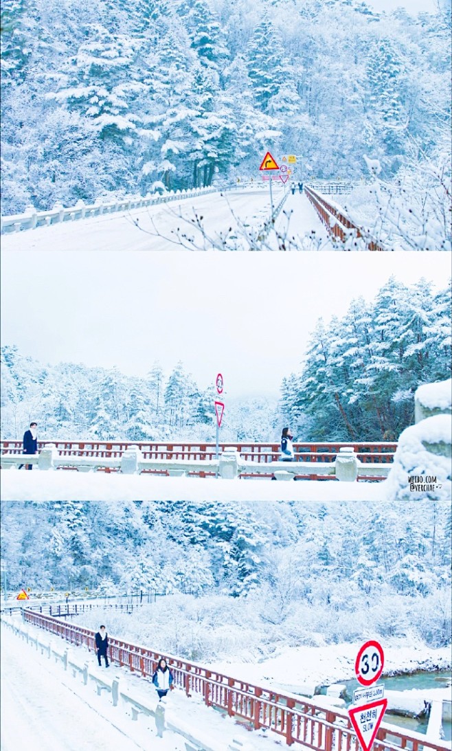 置顶 #孤单又灿烂的神-鬼怪# 美~
