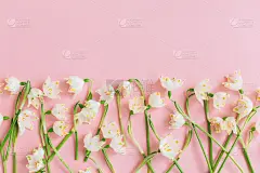 粉嫩的粉红色上平铺着洁白的春花。花嫩边界模板与拷贝空间。时尚的春天贺卡。妇女节或母亲节快乐。你好,春