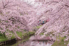 杰西Q采集到旅行风景