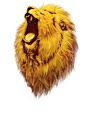7f3e81fe-f2fa-44ff-becc-af72d2460535