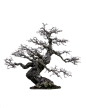 tree_png_by_camelfobia-d5mlo5u