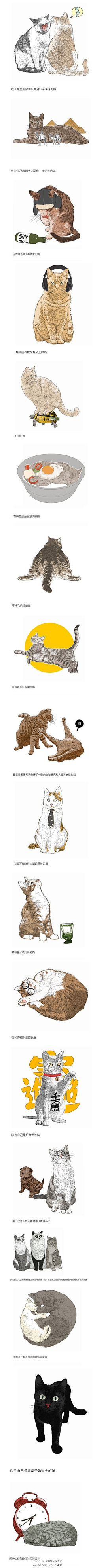 杜姝睿采集到猫