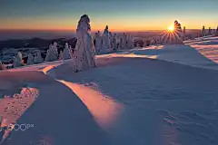 Frozen trees by Lazar Ovidiu on 500px