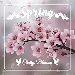 樱花盛开，樱花枝在模糊的背景上