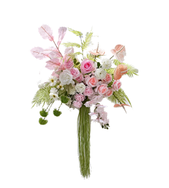 雨落の花香采集到【勉抠】---png花