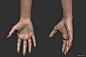 Female Hand Study, Andor Kollar : Sculpted in ZBrush
The model available here: 
https://www.turbosquid.com/3d-models/realistic-female-arm-hand-3d-model-1312491?referral=Andor-Kollar
 www.kollarandor.com | Andor Kollar - 2014