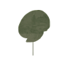TANI tree (11)