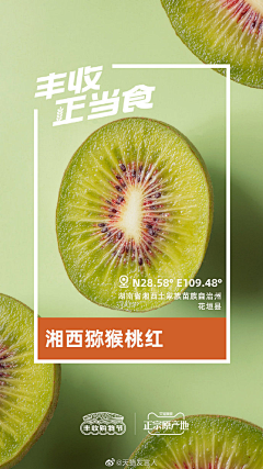 顽皮狗-采集到生鲜-单品海报
