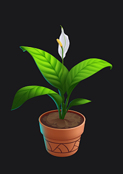 沁/love沁采集到植物