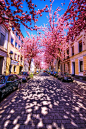 樱桃砖路，波恩，德国 