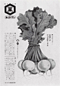 Poor_Land
28分钟前
萬字酱油广告

大桥正，1972 ​​​