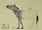 生动的插图：为动物着色的小人 | 墨西哥艺术家 Ricardo Solis