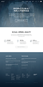 Palantir_home_realpixels