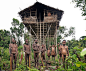 It's thought that until 1970, the Korowai tribe  were unaware of the existence of other an...: 