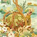 动物,包装插图,国潮,插画,朱雀,玄武,白虎,神兽,设计插图,青龙